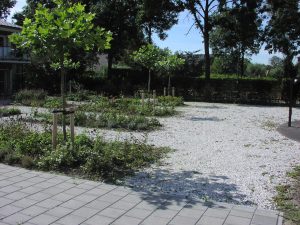 Tuin-met-paden-van-kleischelpen-Groenhof